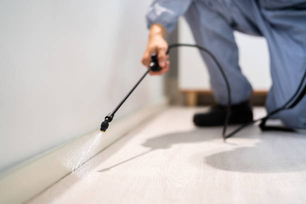 Licensed Rodent Control service in Oneida County County, NY - Nex Pest Control
